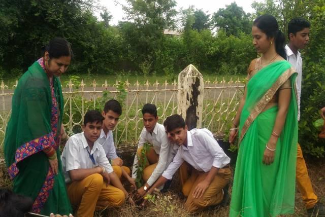 Hariyali Teej Celebration at Maharishi Vidya Mandir Narsinghpur